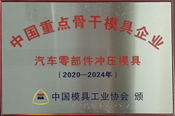 中國重點(diǎn)骨干模具企業(yè)